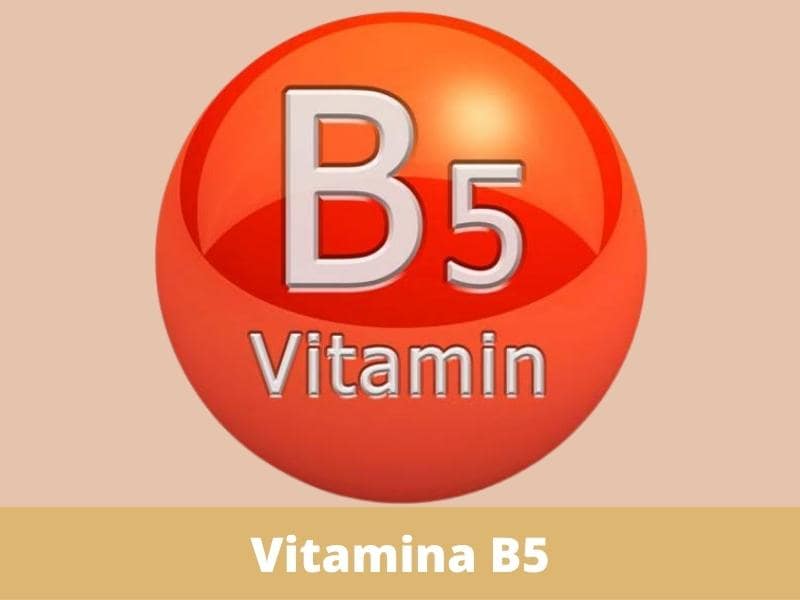 vitamina b5 vitamina b5